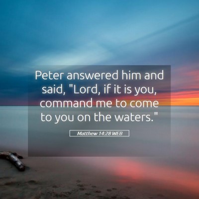 Picture 05 - Matthew 14:28 WEB - Peter answered him and said, 