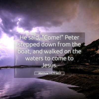 Picture 05 - Matthew 14:29 WEB - He said, 