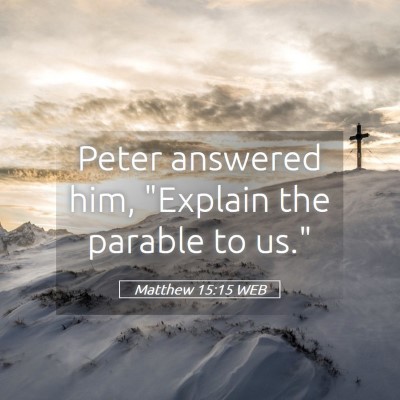 Picture 05 - Matthew 15:15 WEB - Peter answered him, 