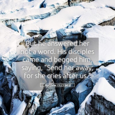 Picture 05 - Matthew 15:23 WEB - But he answered her not a word. His disciples - Bible Verse Picture