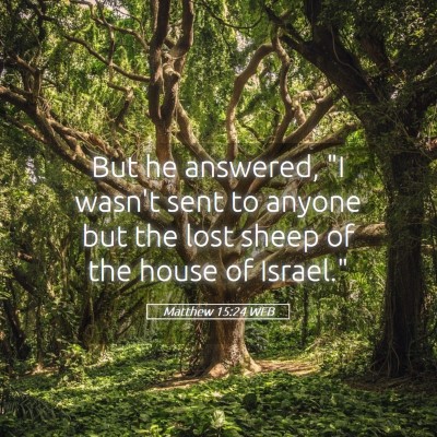 Picture 05 - Matthew 15:24 WEB - But he answered, 