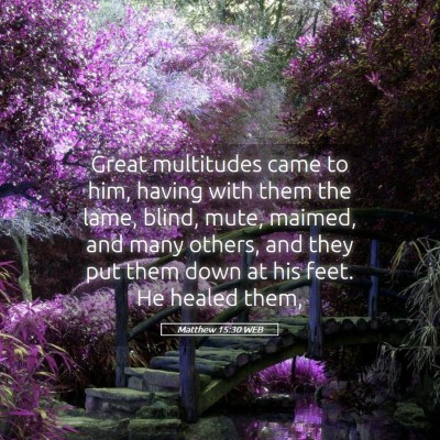 Picture 05 - Matthew 15:30 WEB - Great multitudes came to him, having with them - Bible Verse Picture
