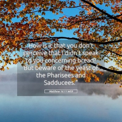 Picture 05 - Matthew 16:11 WEB - How is it that you don't perceive that I didn't - Bible Verse Picture