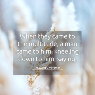 Picture 05 - Matthew 17:14 WEB - When they came to the multitude, a man came to - Bible Verse Picture