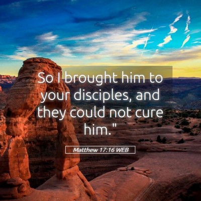 Picture 05 - Matthew 17:16 WEB - So I brought him to your disciples, and they - Bible Verse Picture