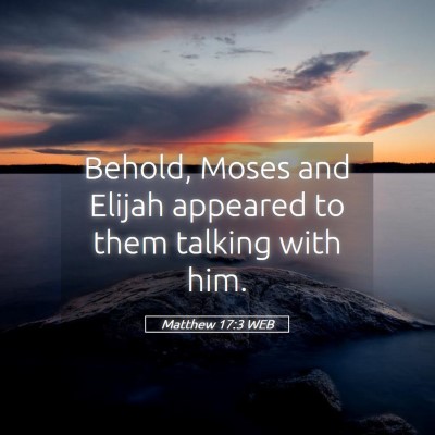 Picture 05 - Matthew 17:3 WEB - Behold, Moses and Elijah appeared to them talking - Bible Verse Picture