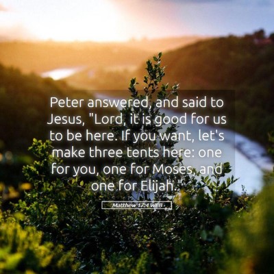 Picture 05 - Matthew 17:4 WEB - Peter answered, and said to Jesus, 