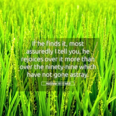 Picture 05 - Matthew 18:13 WEB - If he finds it, most assuredly I tell you, he - Bible Verse Picture