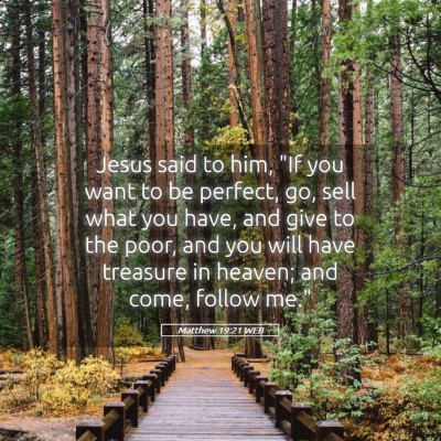Picture 05 - Matthew 19:21 WEB - Jesus said to him, 