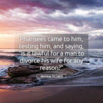 Picture 05 - Matthew 19:3 WEB - Pharisees came to him, testing him, and saying, - Bible Verse Picture