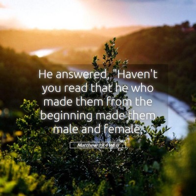 Picture 05 - Matthew 19:4 WEB - He answered, 