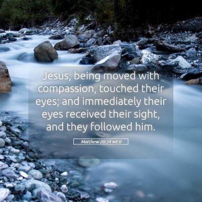 Picture 05 - Matthew 20:34 WEB - Jesus, being moved with compassion, touched their - Bible Verse Picture