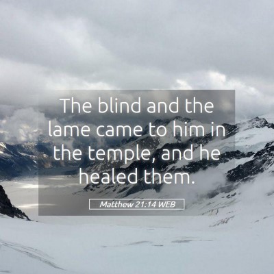 Picture 05 - Matthew 21:14 WEB - The blind and the lame came to him in the temple, - Bible Verse Picture