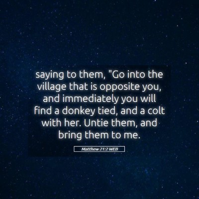 Picture 05 - Matthew 21:2 WEB - saying to them, 