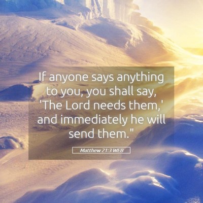 Picture 05 - Matthew 21:3 WEB - If anyone says anything to you, you shall say, - Bible Verse Picture