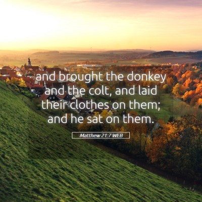 Picture 05 - Matthew 21:7 WEB - and brought the donkey and the colt, and laid - Bible Verse Picture