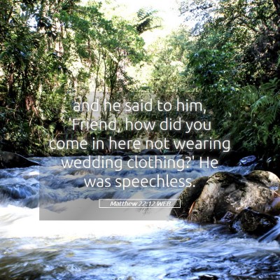 Picture 05 - Matthew 22:12 WEB - and he said to him, 'Friend, how did you come in - Bible Verse Picture