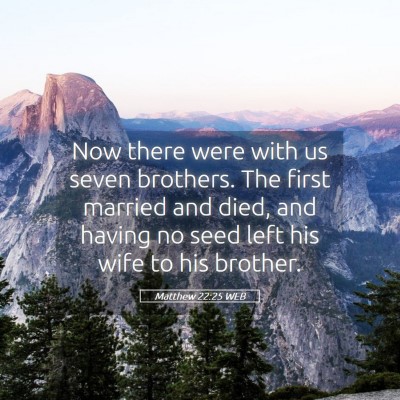Picture 05 - Matthew 22:25 WEB - Now there were with us seven brothers. The first - Bible Verse Picture
