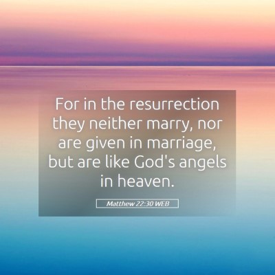 Picture 05 - Matthew 22:30 WEB - For in the resurrection they neither marry, nor - Bible Verse Picture