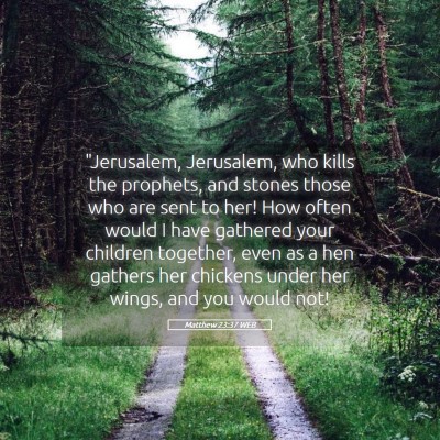 Picture 05 - Matthew 23:37 WEB - 
