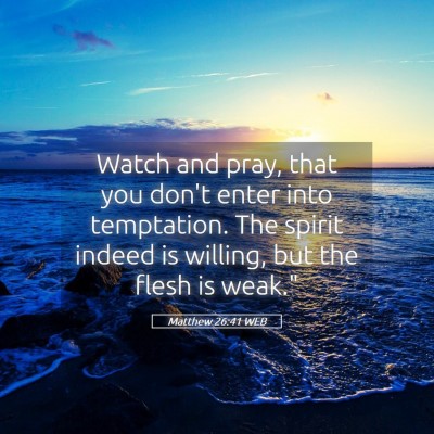 Picture 05 - Matthew 26:41 WEB - Watch and pray, that you don't enter into - Bible Verse Picture