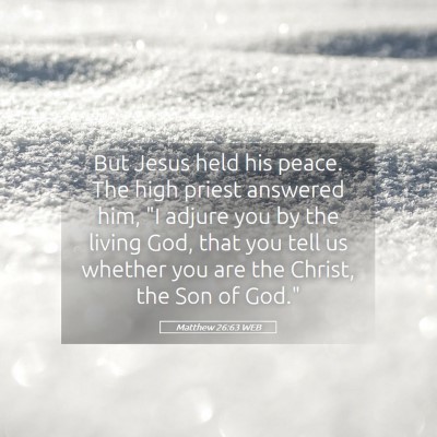Picture 05 - Matthew 26:63 WEB - But Jesus held his peace. The high priest - Bible Verse Picture