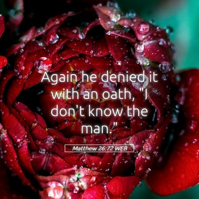 Picture 05 - Matthew 26:72 WEB - Again he denied it with an oath, 