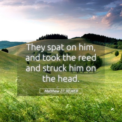 Picture 05 - Matthew 27:30 WEB - They spat on him, and took the reed and struck - Bible Verse Picture