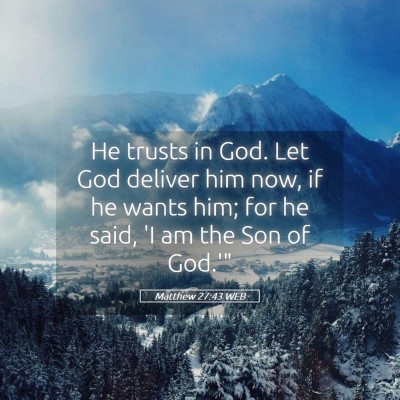 Picture 05 - Matthew 27:43 WEB - He trusts in God. Let God deliver him now, if he - Bible Verse Picture