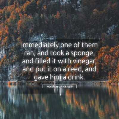 Picture 05 - Matthew 27:48 WEB - Immediately one of them ran, and took a sponge, - Bible Verse Picture