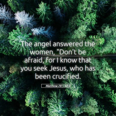 Picture 05 - Matthew 28:5 WEB - The angel answered the women, 