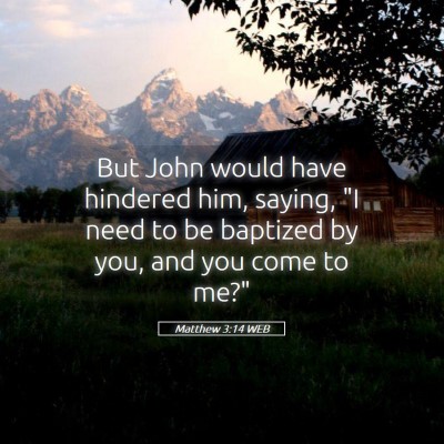 Picture 05 - Matthew 3:14 WEB - But John would have hindered him, saying, 