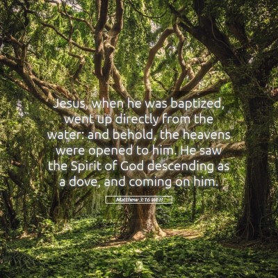 Picture 05 - Matthew 3:16 WEB - Jesus, when he was baptized, went up directly - Bible Verse Picture