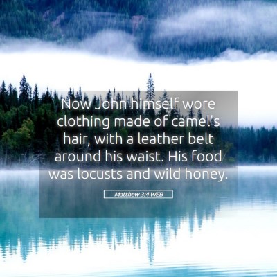Picture 05 - Matthew 3:4 WEB - Now John himself wore clothing made of camel's - Bible Verse Picture