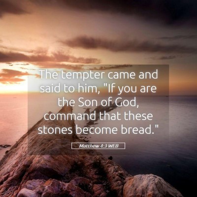 Picture 05 - Matthew 4:3 WEB - The tempter came and said to him, 