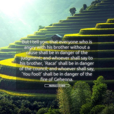 Picture 05 - Matthew 5:22 WEB - But I tell you, that everyone who is angry with - Bible Verse Picture