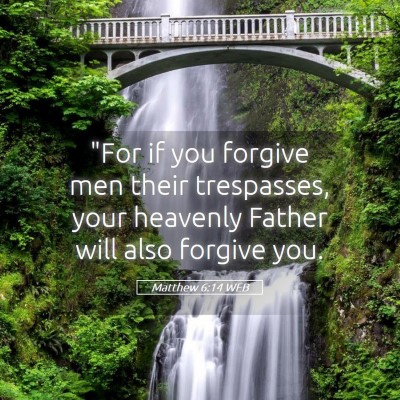 Picture 05 - Matthew 6:14 WEB - 