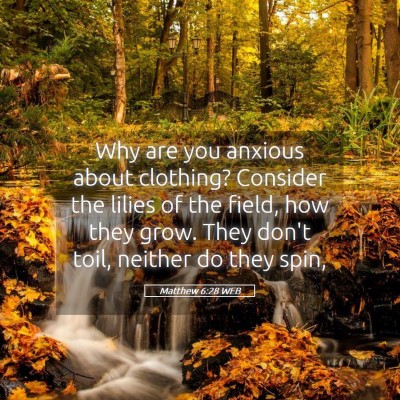 Picture 05 - Matthew 6:28 WEB - Why are you anxious about clothing? Consider the - Bible Verse Picture