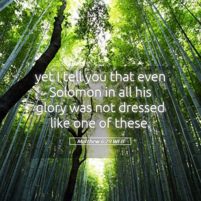 Picture 05 - Matthew 6:29 WEB - yet I tell you that even Solomon in all his glory - Bible Verse Picture