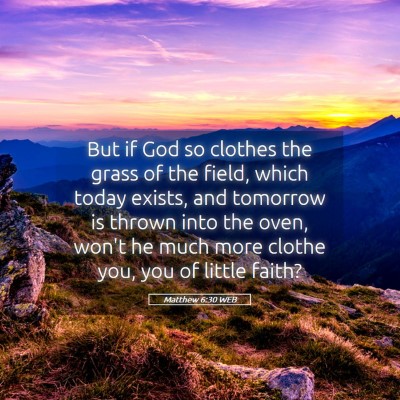 Picture 05 - Matthew 6:30 WEB - But if God so clothes the grass of the field, - Bible Verse Picture