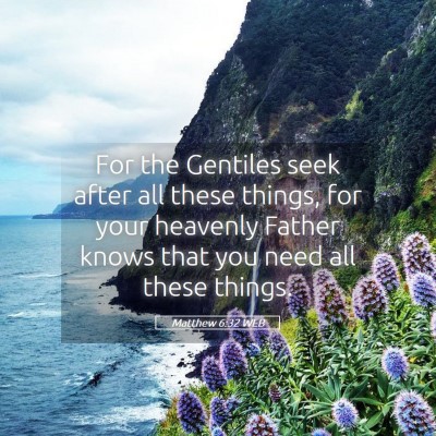 Picture 05 - Matthew 6:32 WEB - For the Gentiles seek after all these things, for - Bible Verse Picture
