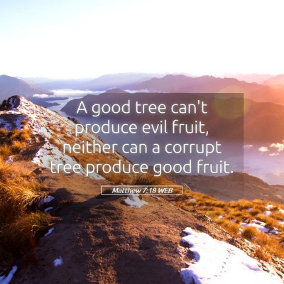 Picture 05 - Matthew 7:18 WEB - A good tree can't produce evil fruit, neither can - Bible Verse Picture