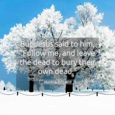 Picture 05 - Matthew 8:22 WEB - But Jesus said to him, 