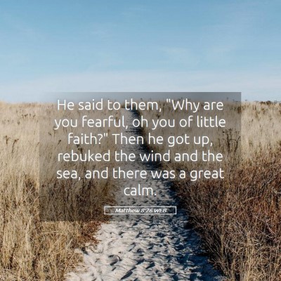 Picture 05 - Matthew 8:26 WEB - He said to them, 