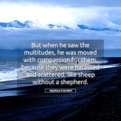 Picture 05 - Matthew 9:36 WEB - But when he saw the multitudes, he was moved with - Bible Verse Picture