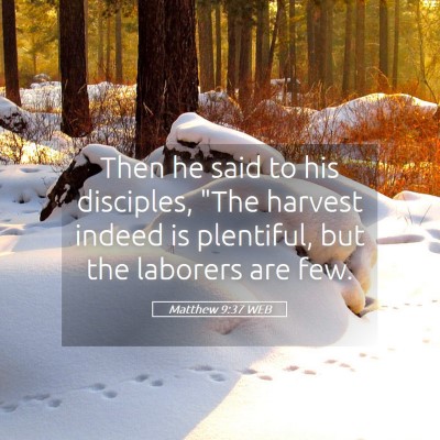 Picture 05 - Matthew 9:37 WEB - Then he said to his disciples, 