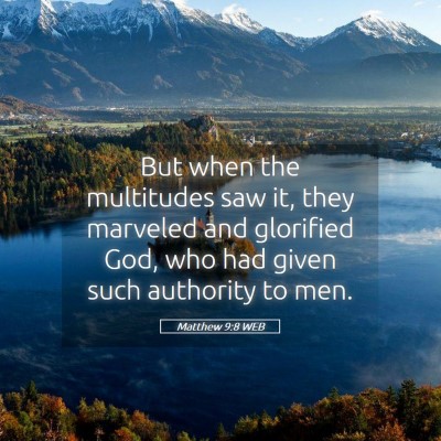 Picture 05 - Matthew 9:8 WEB - But when the multitudes saw it, they marveled and - Bible Verse Picture