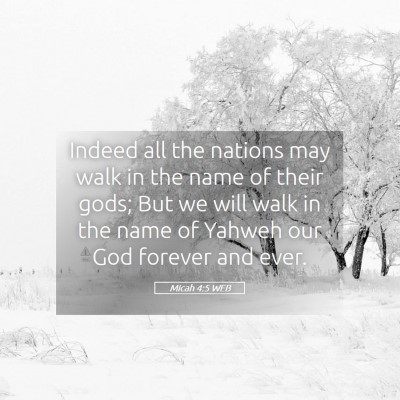 Picture 05 - Micah 4:5 WEB - Indeed all the nations may walk in the name of - Bible Verse Picture