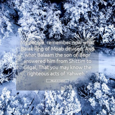 Picture 05 - Micah 6:5 WEB - My people, remember now what Balak king of Moab - Bible Verse Picture