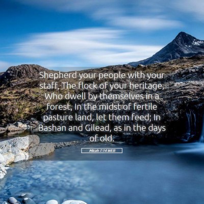 Picture 05 - Micah 7:14 WEB - Shepherd your people with your staff, The flock - Bible Verse Picture